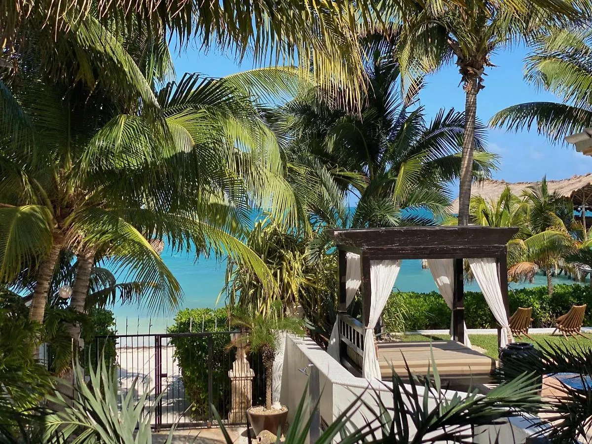 Villa Albatros Oceanfront Luxury Hotelzone Cancún Messico