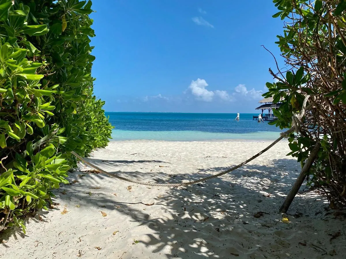 Villa Albatros Oceanfront Luxury Hotelzone Cancún Messico