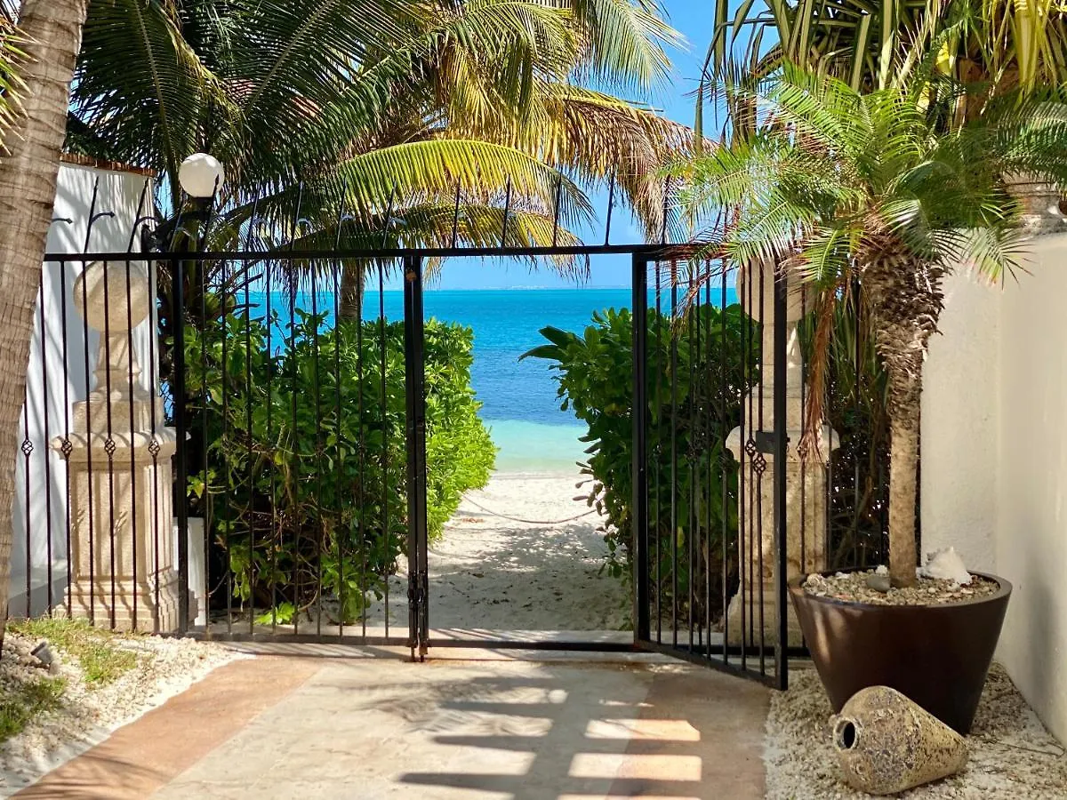 Villa Albatros Oceanfront Luxury Hotelzone Cancún
