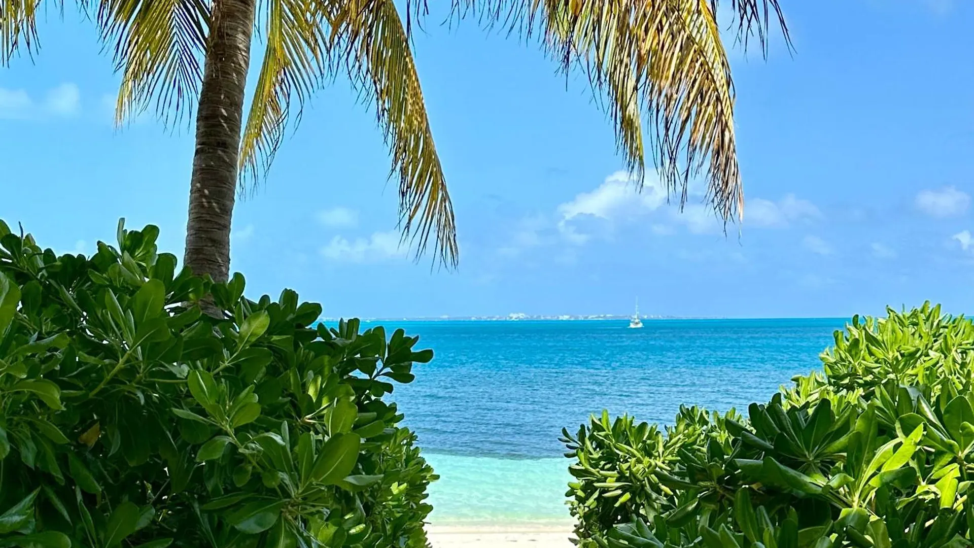 Villa Albatros Oceanfront Luxury Hotelzone Cancún