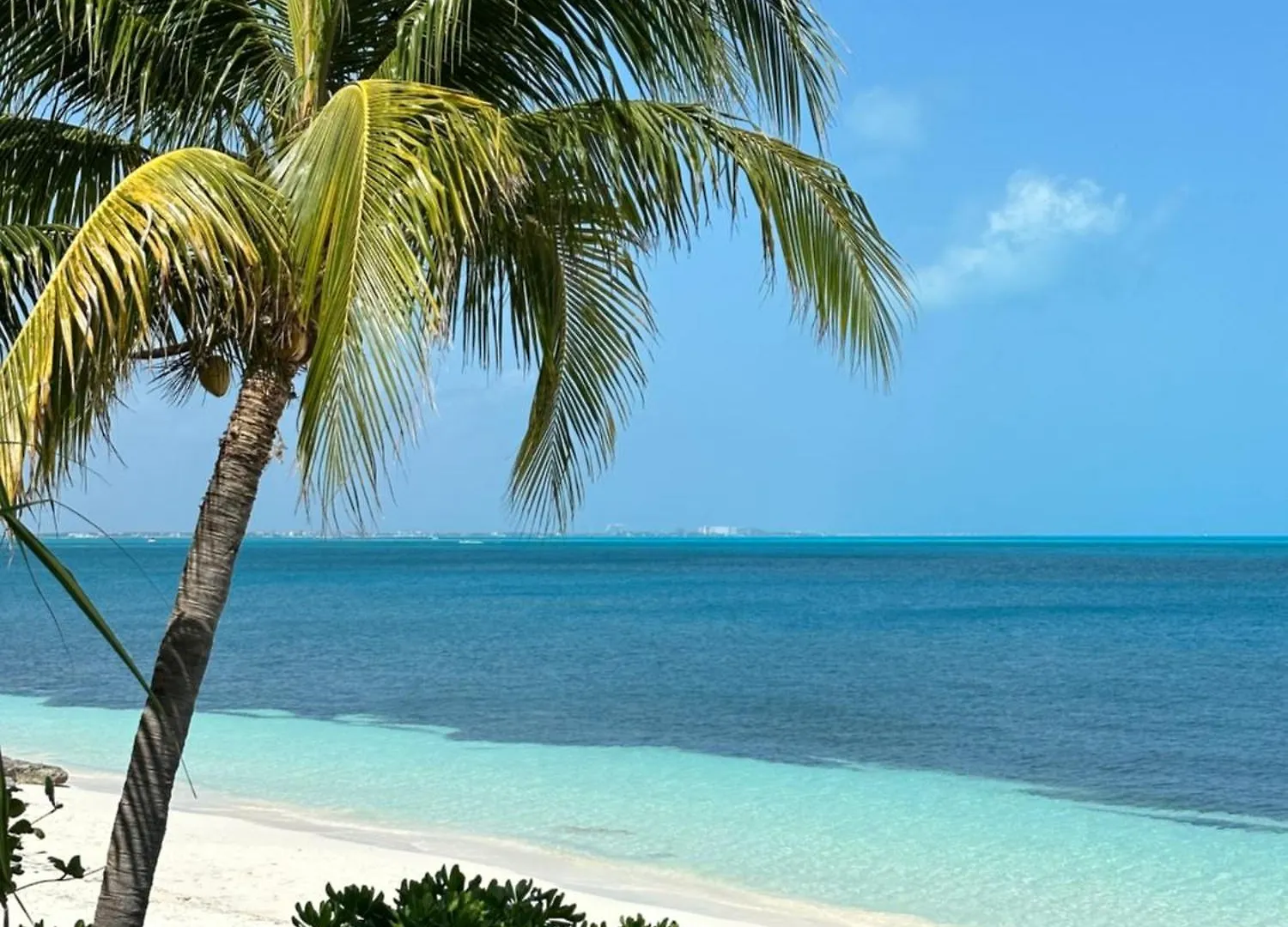 Villa Albatros Oceanfront Luxury Hotelzone Cancún
