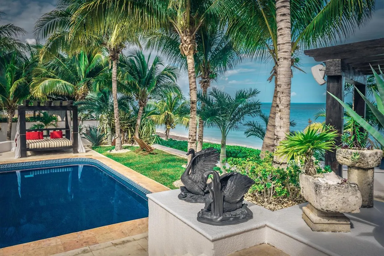 Villa Albatros Oceanfront Luxury Hotelzone Cancún